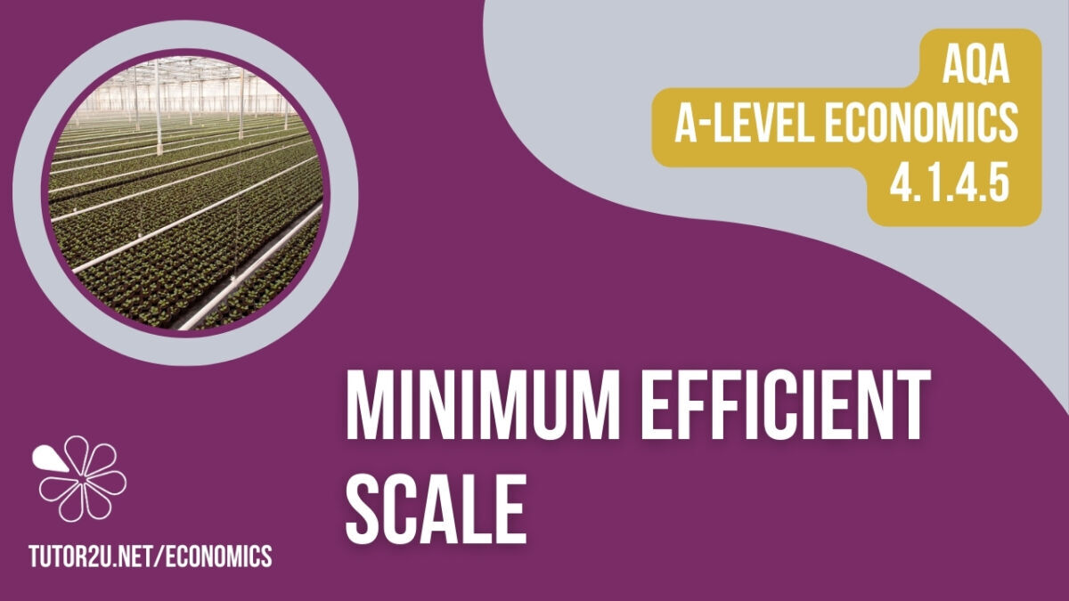 4.1.4.5 Minimum Efficient Scale (AQA ALevel Economics Teaching