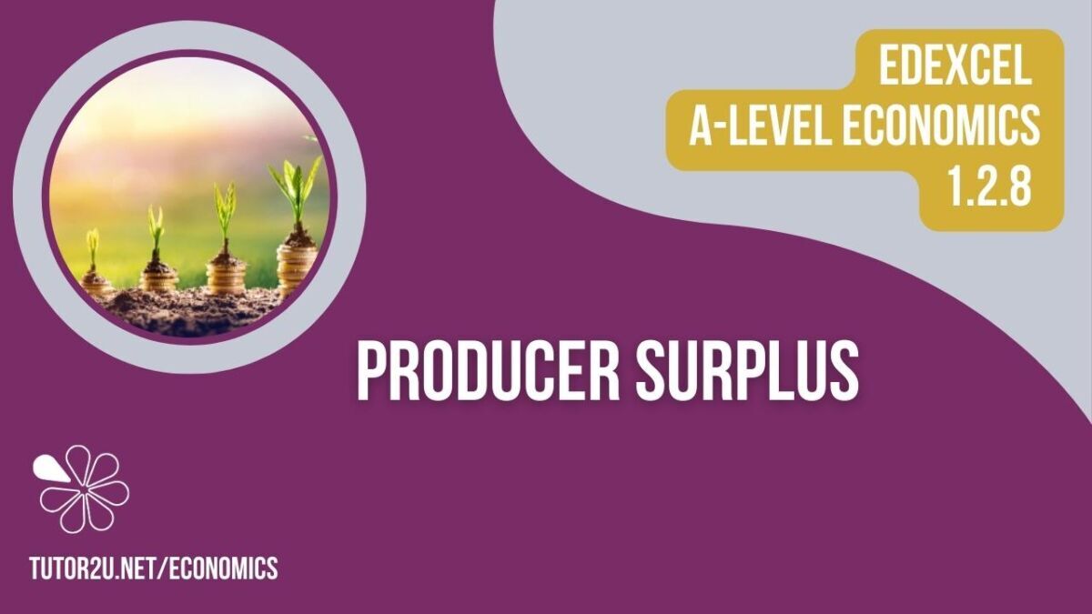 1.2.8 Producer Surplus (Edexcel A-Level Economics Teaching PowerPoint ...