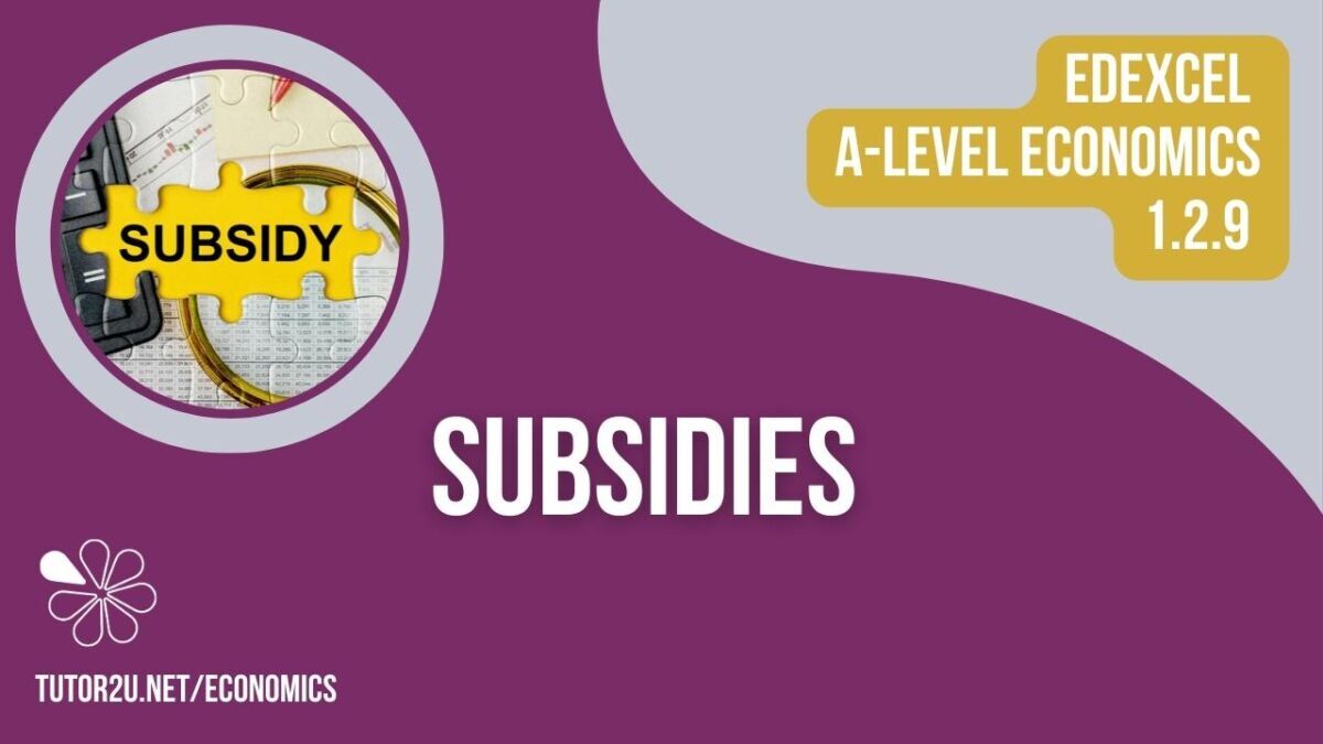 1.2.9 Subsidies (Edexcel ALevel Economics Teaching PowerPoint