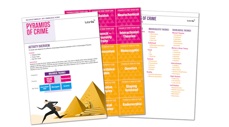 Crime Types Pyramid Teaching Activity: Unit 2 Pyramids of Crime | Reference Library ...