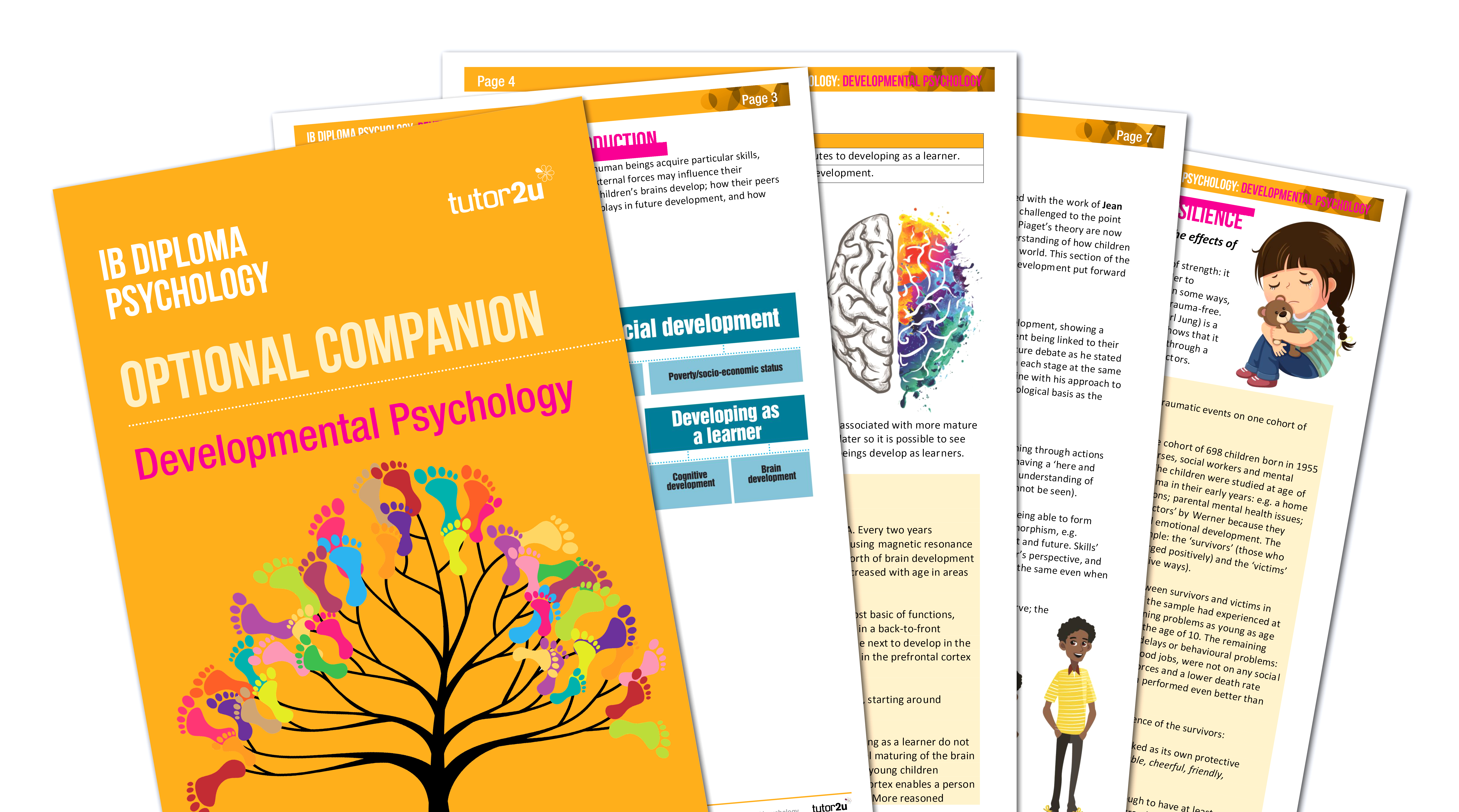 Developmental Psychology Optional Topic Companion For IB Diploma ...