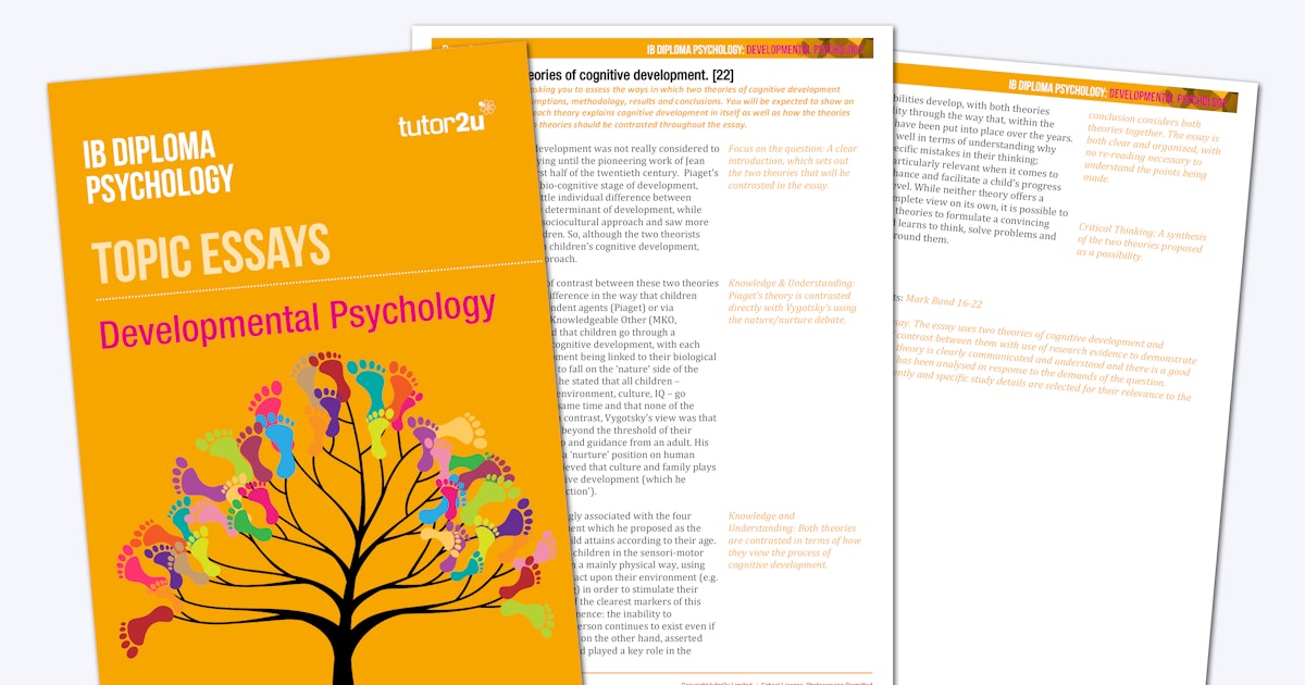 Developmental Psychology: IB Diploma Psychology Topic Essays | Shop ...
