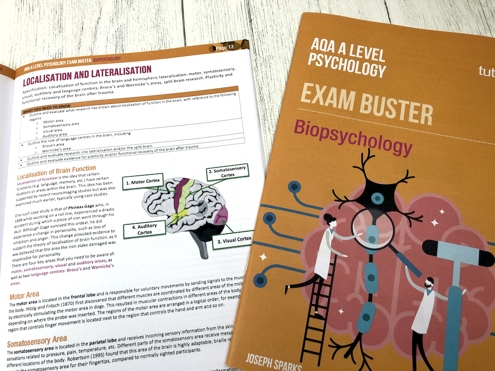 Biopsychology Exam Buster Revision Guide For AQA A-Level Psychology ...