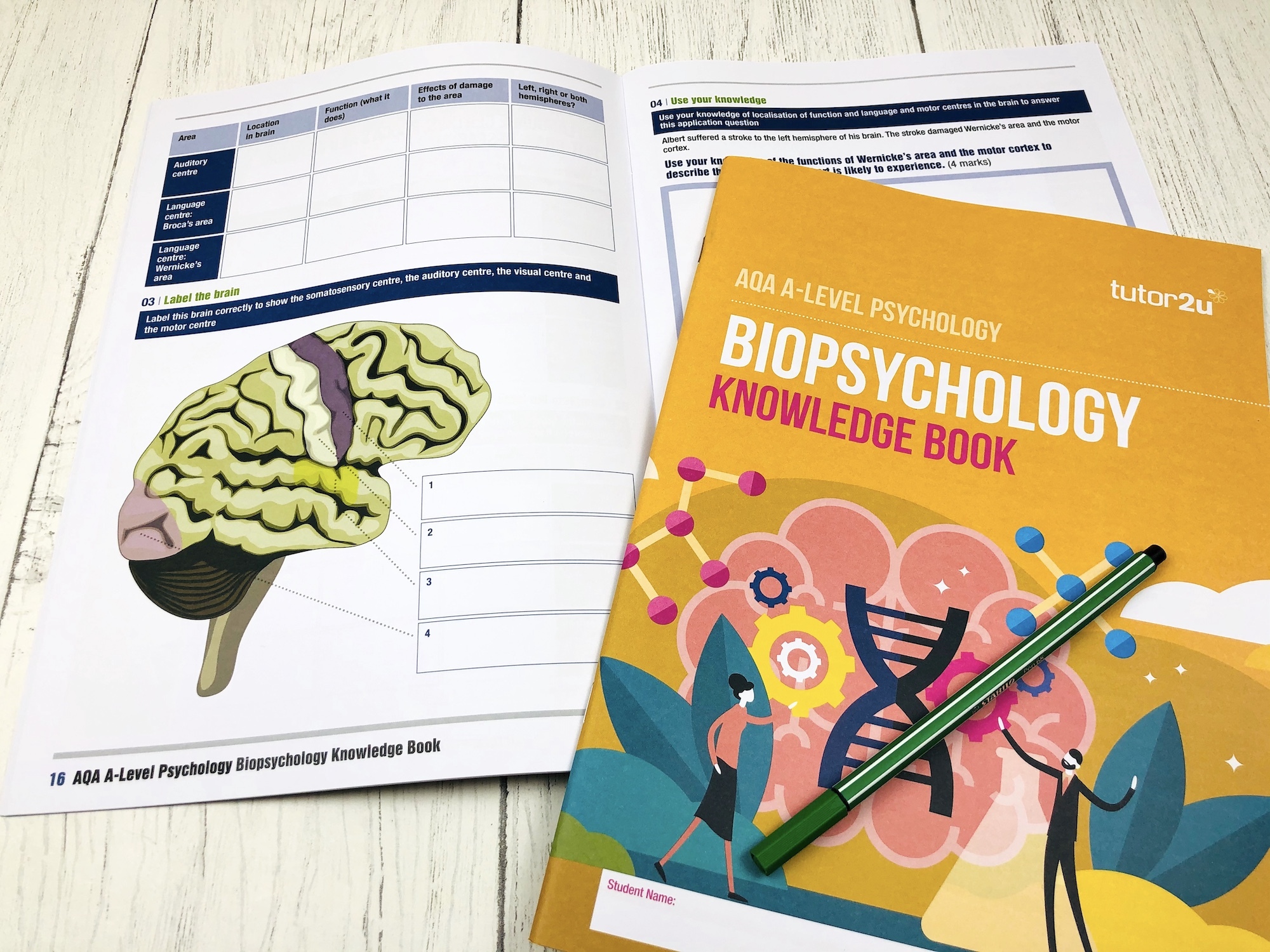 Biopsychology Knowledge Book For AQA A-Level Psychology | Shop ...