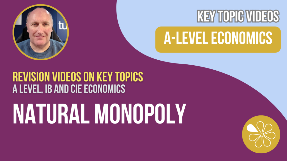 Economics Of Natural Monopoly I A Level And IB Economics | Reference ...