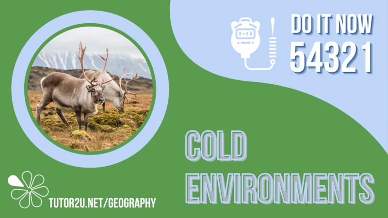 Cold Invironmenet 54321 'Do it now' activity for GCSE Geography: Cold Environments ...