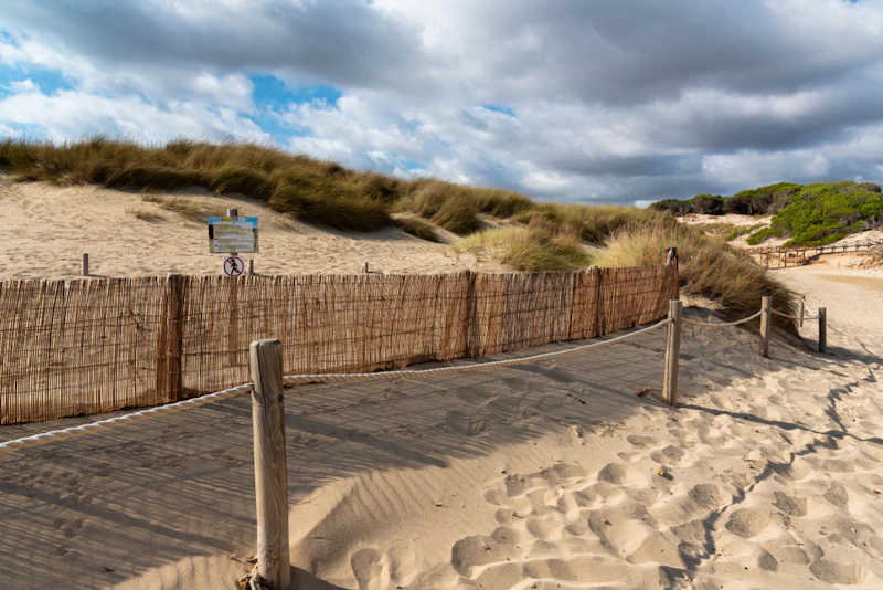Soft Coasts GCSE Geography | Coastal management - soft engineering strategies ...