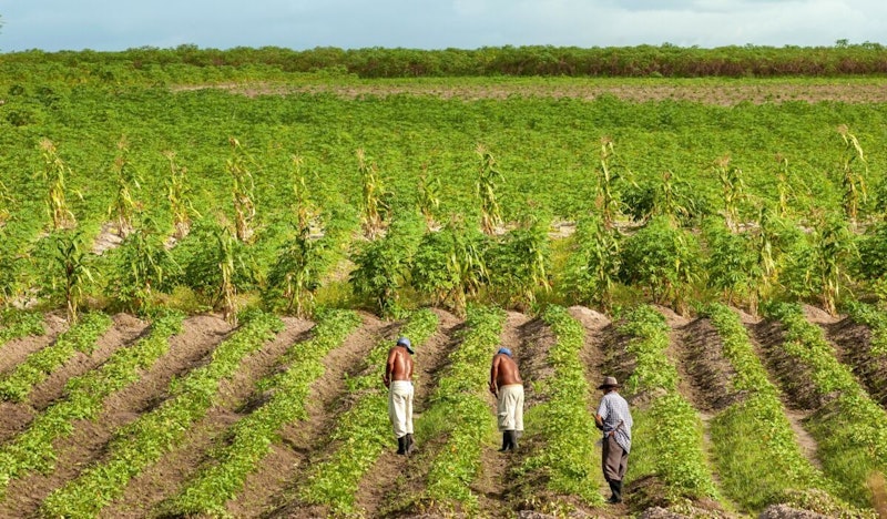 GCSE Geography | Opportunities in Rio de Janeiro (NEE city study: Rio ...