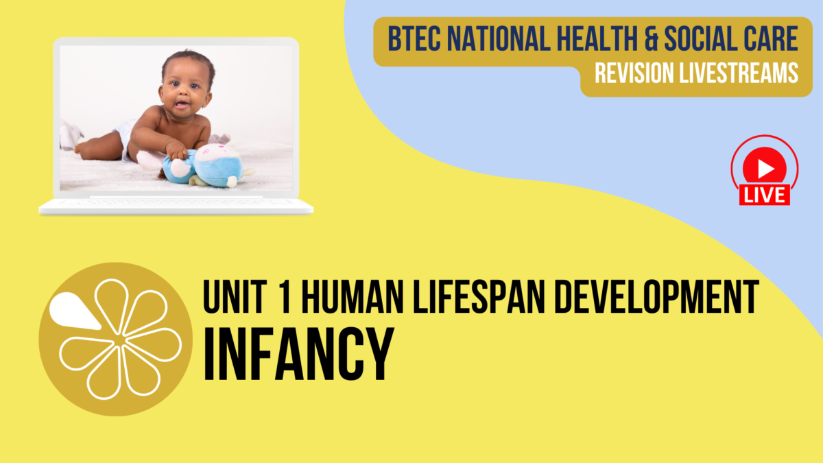 Infancy | Live Revision For HSC Unit 1 Human Lifespan Development ...