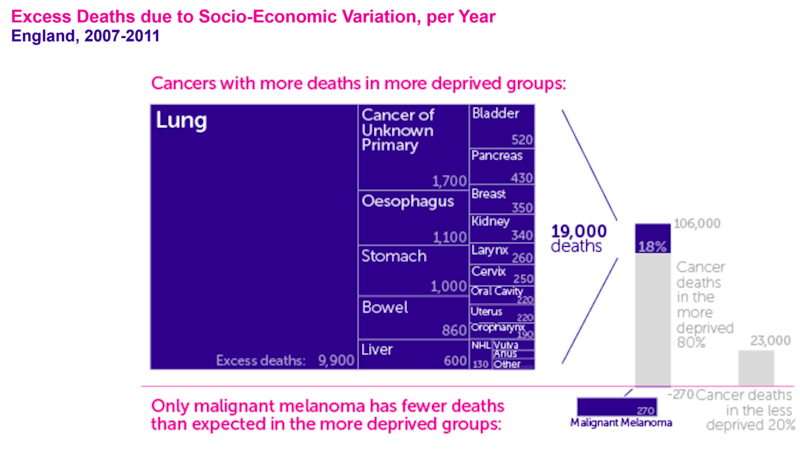 Excess Cancer Deaths Due To Socioecoomic Variance ?auto=compress%2Cformat&fit=clip&q=80&w=800