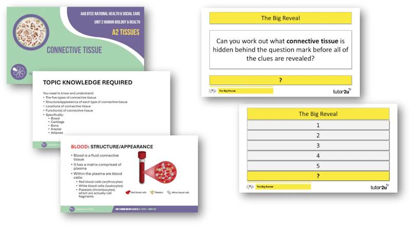 Hsc Interactive A2 Connective Tissue Topic PowerPoint and Interactive Game | Unit 2 ...