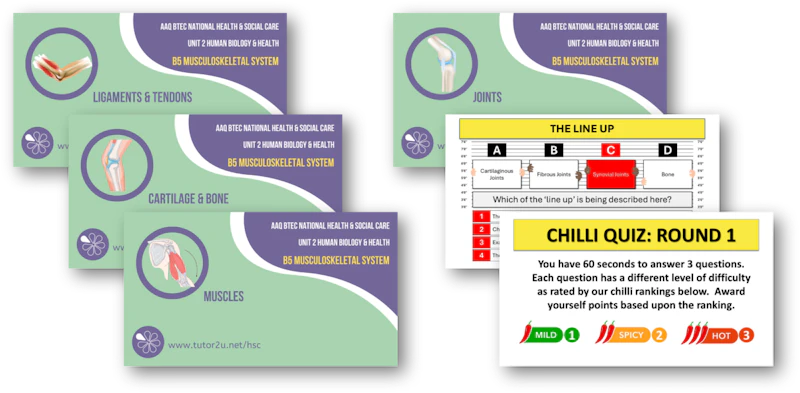 Hsc Interactive B5 The Musculoskeletal System Topic PowerPoints and Interactive Games ...