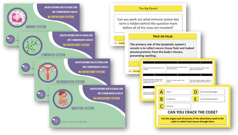 Hsc Interactive B6 The Further Body Systems Topic PowerPoints and Interactive Games ...