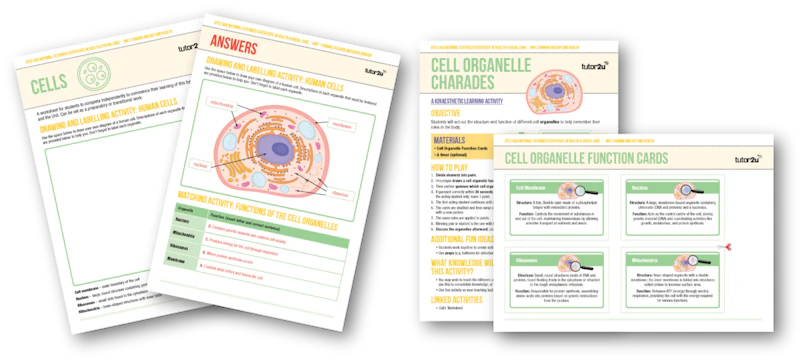 Cells Topic Learning Cells Teaching Activities for Unit 2 Human Biology & Health | AAQ BTEC ...