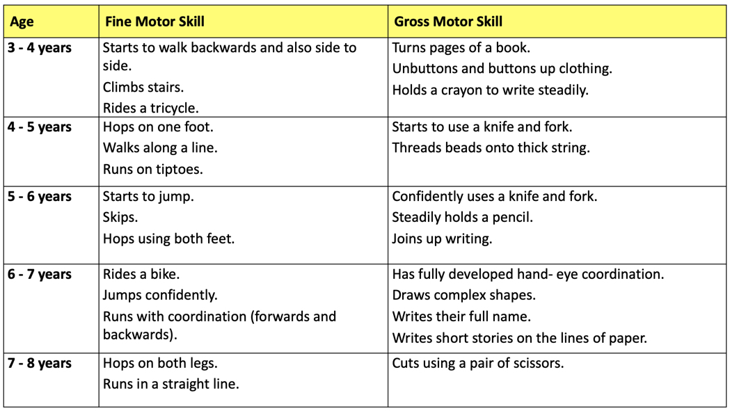 Physical social and cognitive development at all discount stages