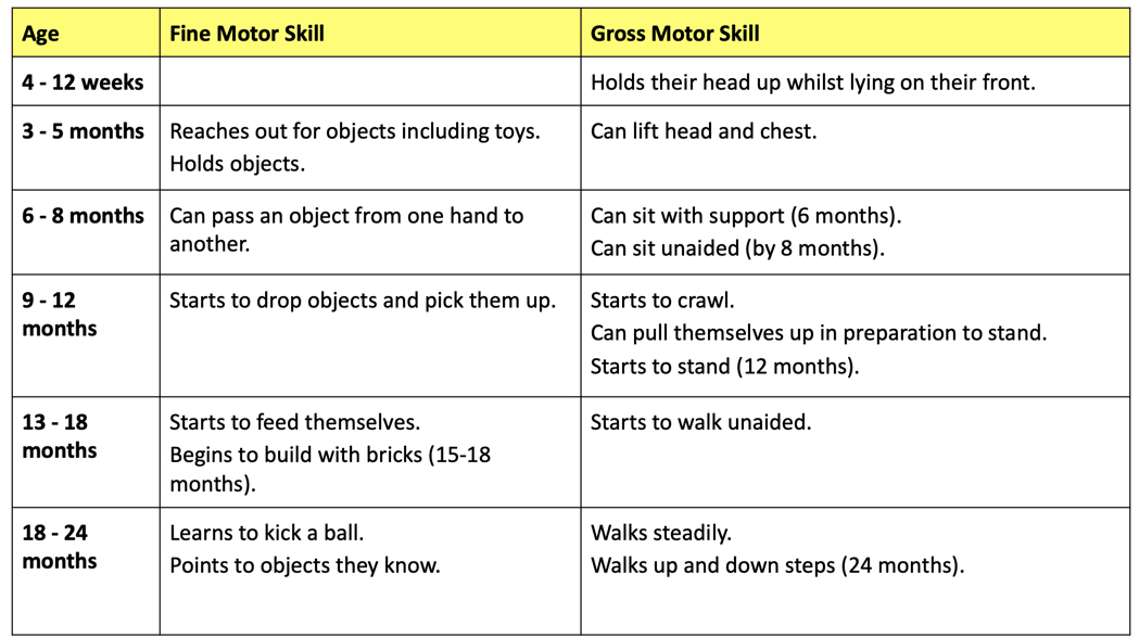 Cognitive skills for discount 18 month old