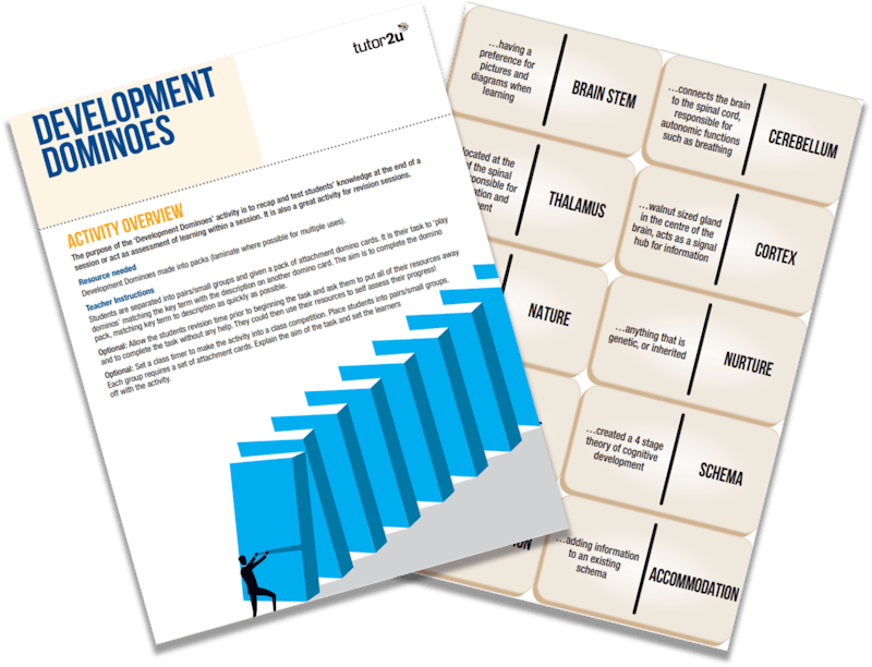 Teaching Activity l Developmental Dominoes for AQA GCSE Psychology ...