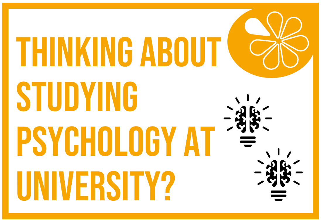 Classroom Display: The Top 20 Universities To Study Psychology (2025 ...