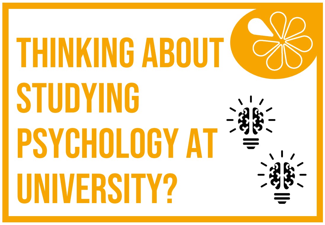 Classroom Display: The Top 20 Universities to Study Psychology (2025
