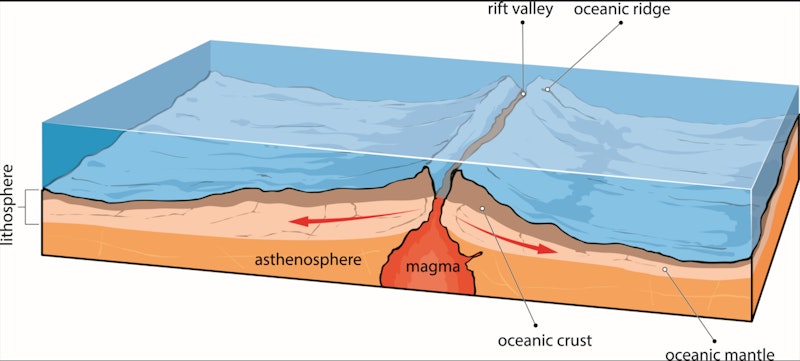 rift valley divergent