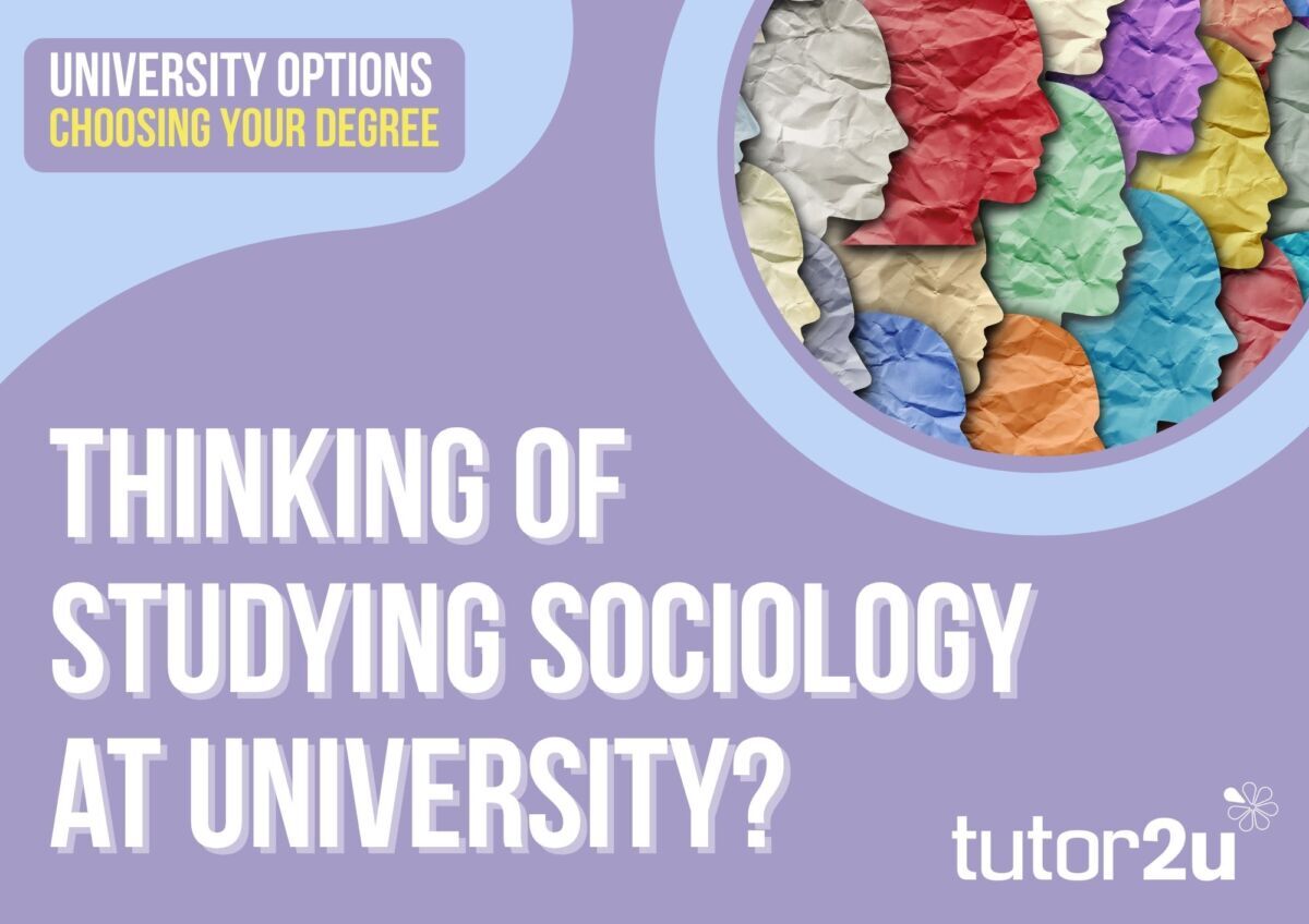 Wall display: Studying a Sociology related course at university (for ...