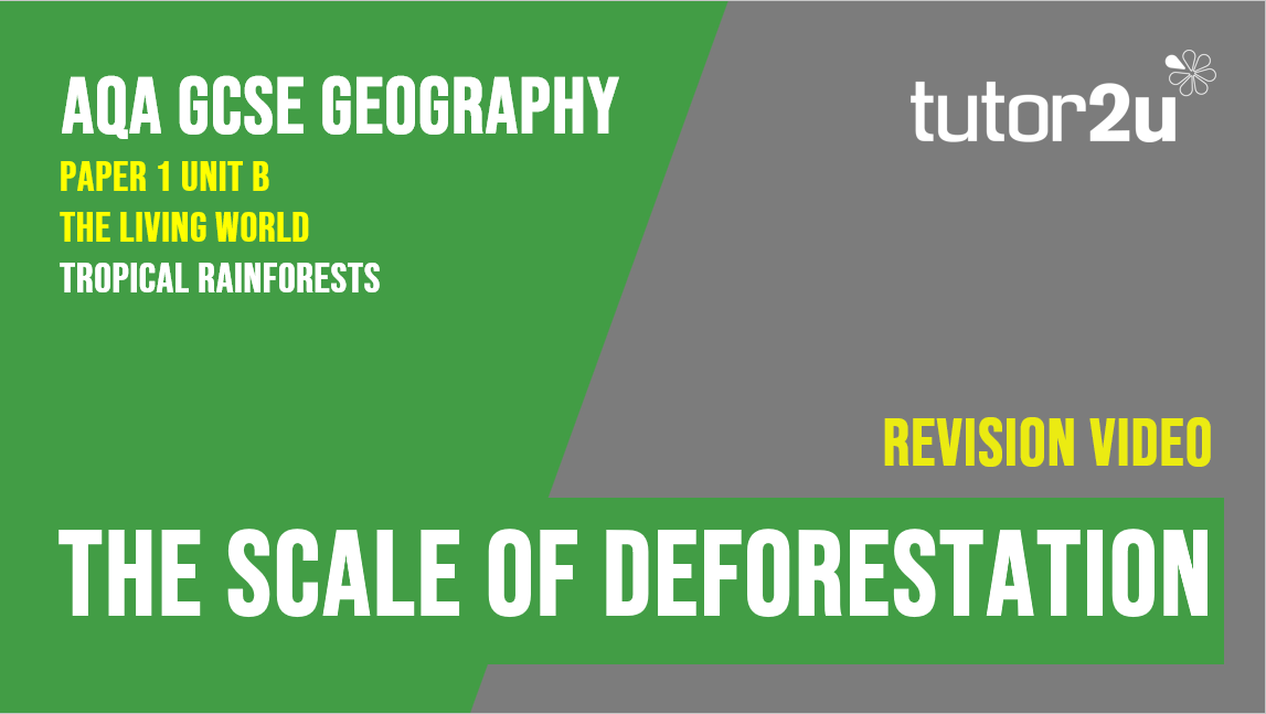 Topic Video for AQA GCSE Geography Scale of Deforestation (Tropical