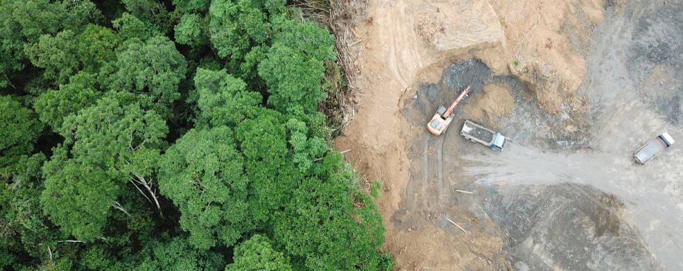 GCSE Geography The Scale of Deforestation (Tropical Rainforests 3