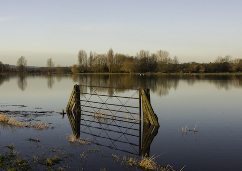 uk flood case study