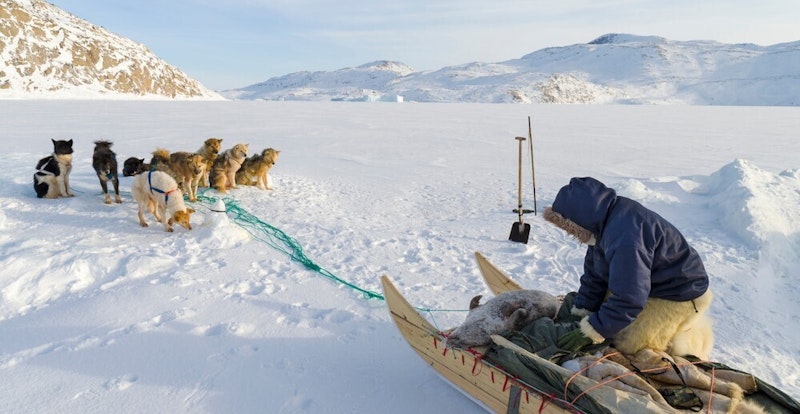 GCSE Geography | Why do cold environments need protecting? (Cold ...