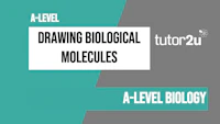Drawing Biological Molecules Cover