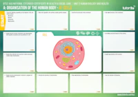 AAQ BTEC HSC Unit 2 Assessment Mats cover