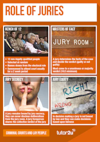 Law Posters Criminalcourtslaypeople 4