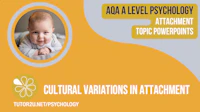 Attachment Topic Powerpoints Cover