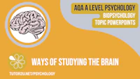 Biopsychology Powerpoint Cover