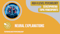 Schizophrenia Topic Powerpoints Cover