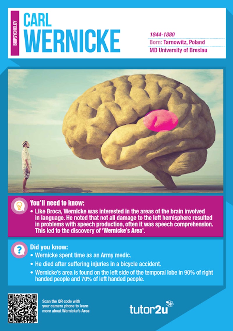 Key Psychologists for AQA A Level Psychology Classroom Posters