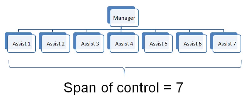 Span u. Span of Control. Wide span of Control. Narrow span of Control. Spans структура.
