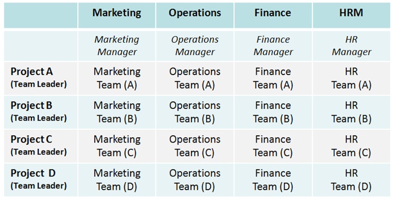 Matrix structures | Reference Library | Business | tutor2u