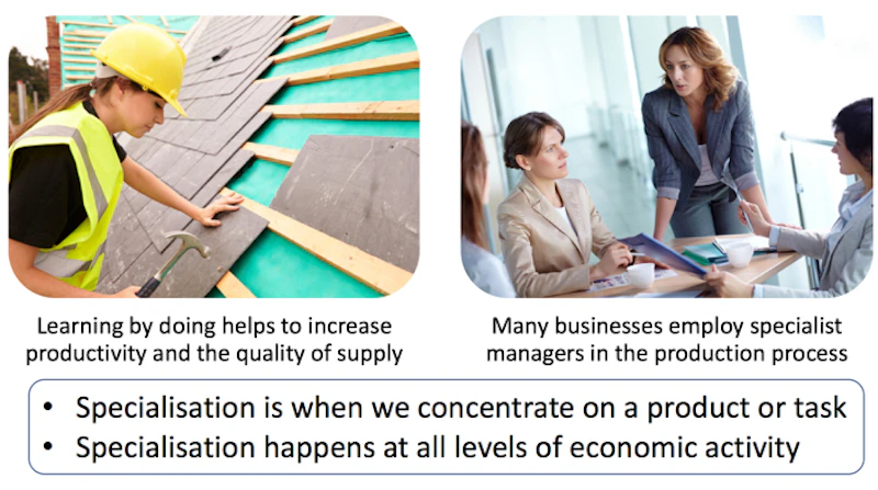 Specialisation | Reference Library | Economics | tutor2u