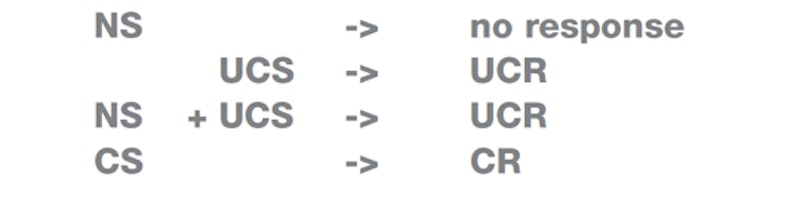 Classical Conditioning | Reference Library | Psychology | tutor2u