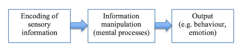 The Cognitive Approach Reference Library Psychology tutor2u