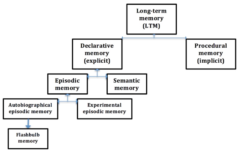 long term memory examples