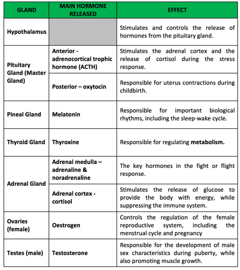 Biopsychology: The Endocrine System - Hormones | Reference Library ...