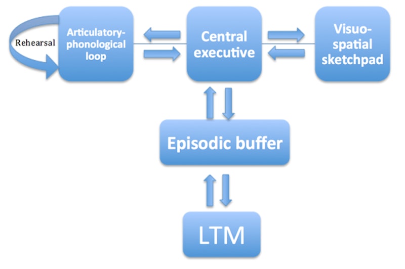 research on the working memory model